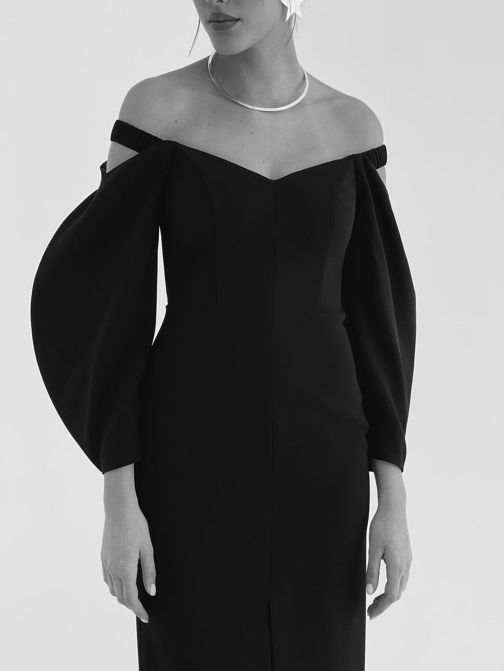Black Tulip